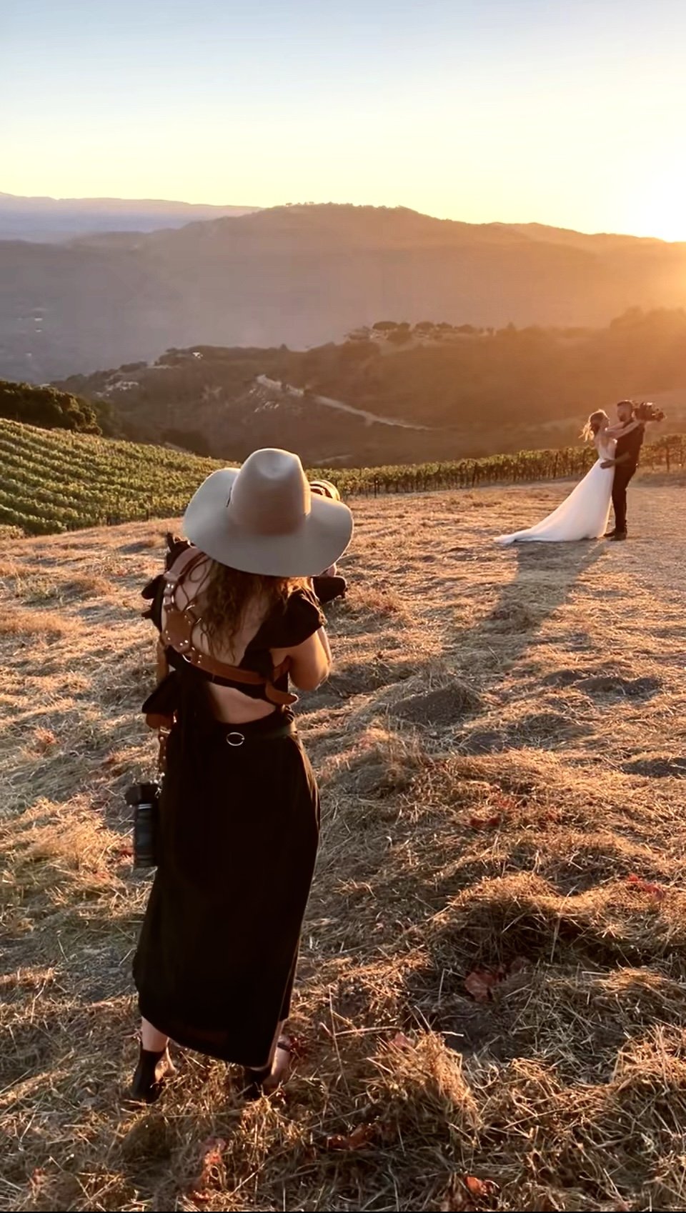 Santa Cruz Wedding and Big Sur Elopement Photographer Kassandra Thomsen capturing a wedding couple at sunset in a vineyard landscape with rolling hills in the background at Holman Ranch in Carmel Valley, Ca.