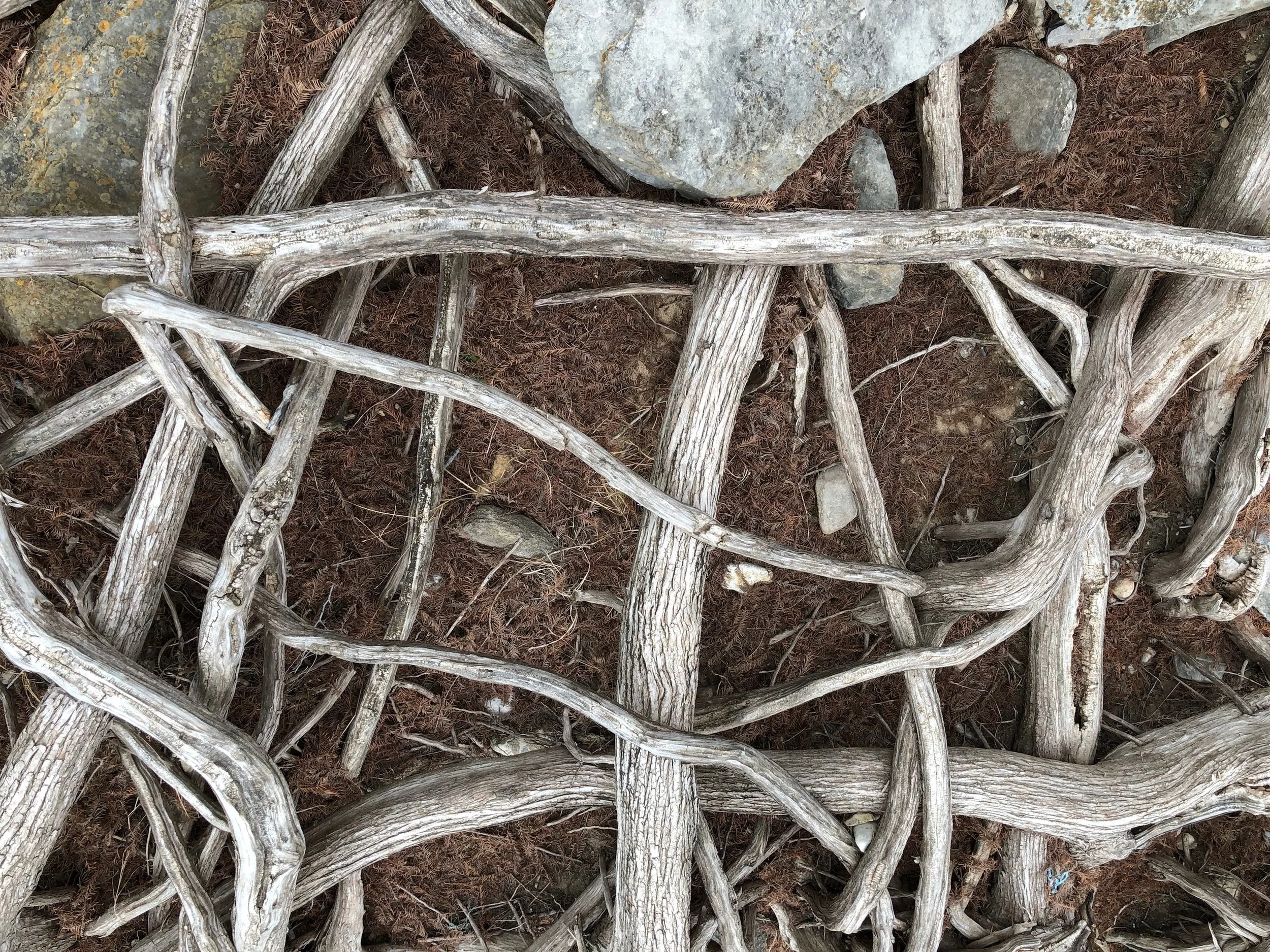 Maryhelen's Pedernales hike photo, 2018.