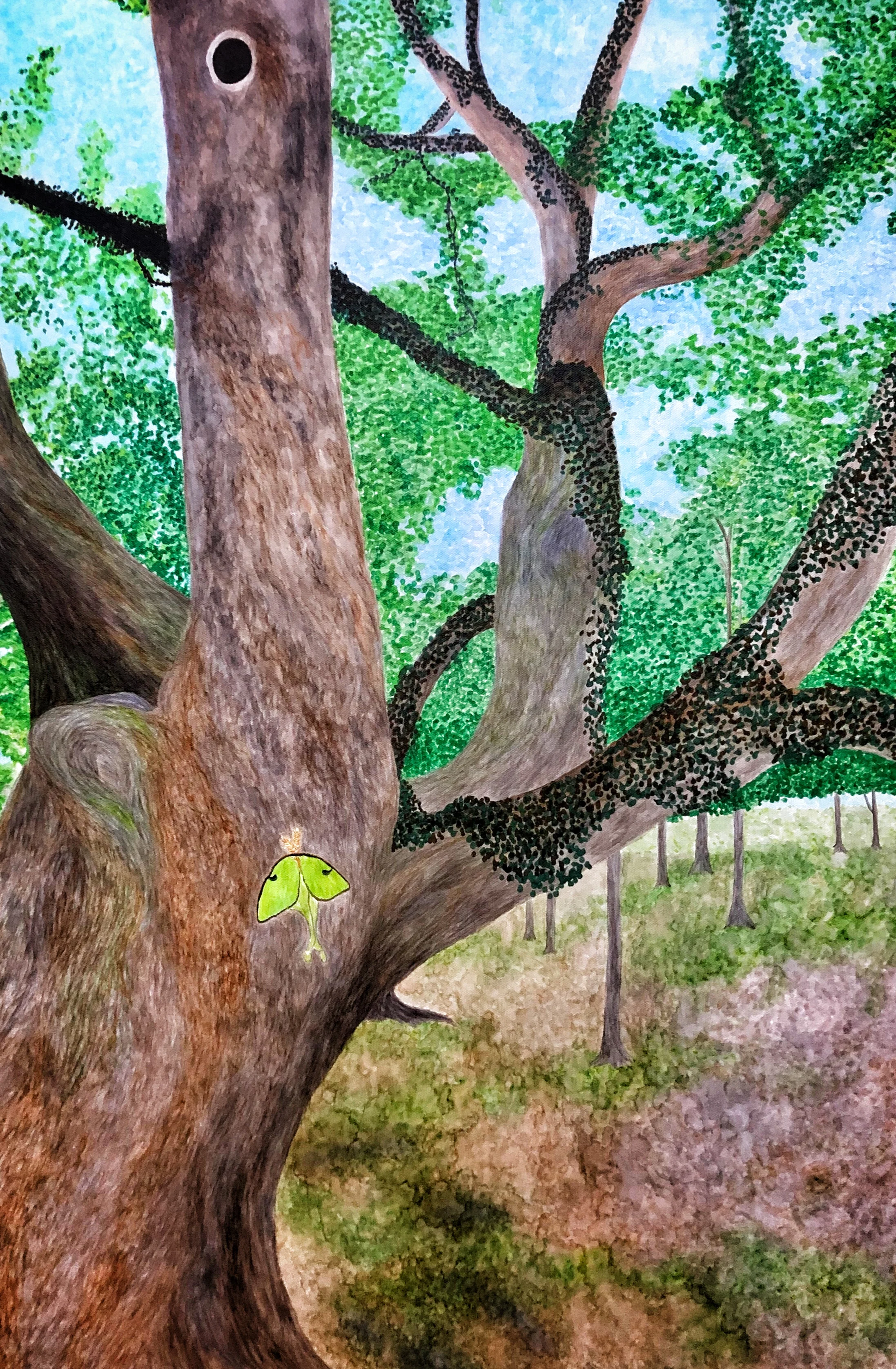 Luna Moth on Genemarie's Tree, March 2019. Paint pens on stretched canvas. 24x36 inches with finished sides.