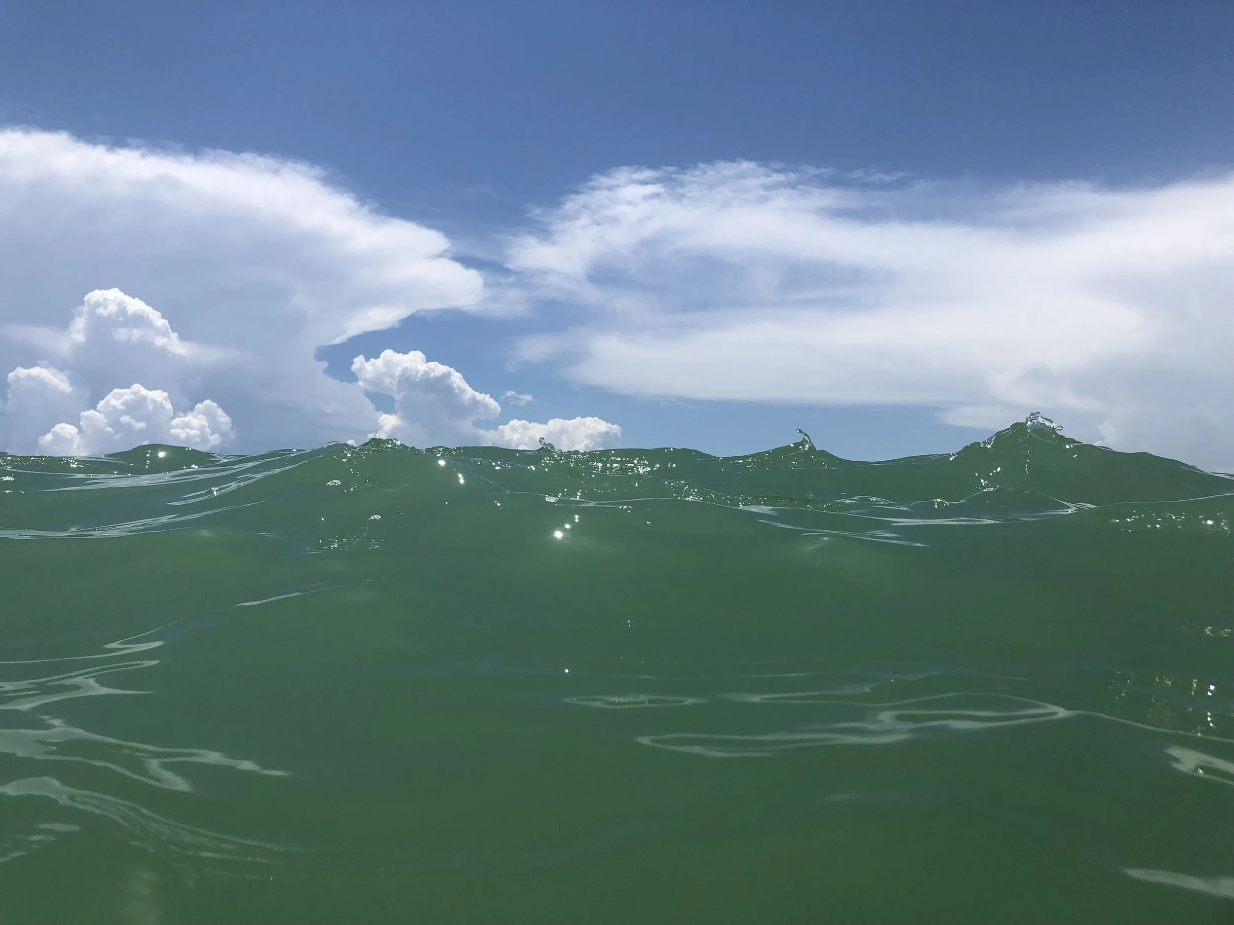 Green Wave photo from Gulf of Mexico vacation