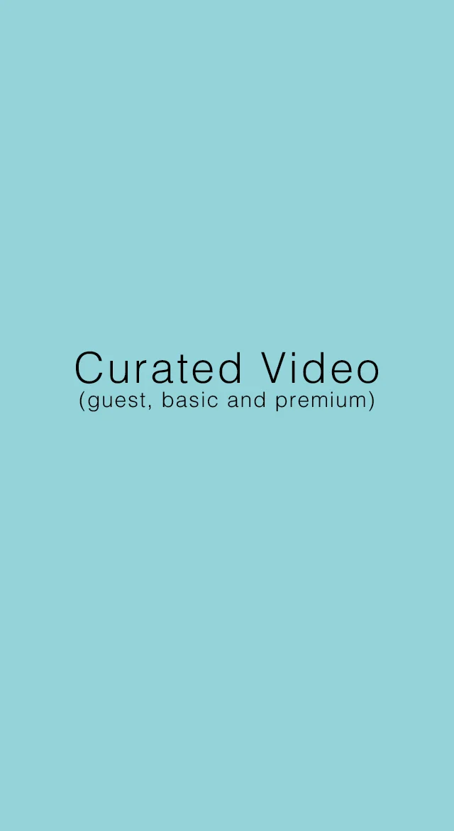 curated video.jpg