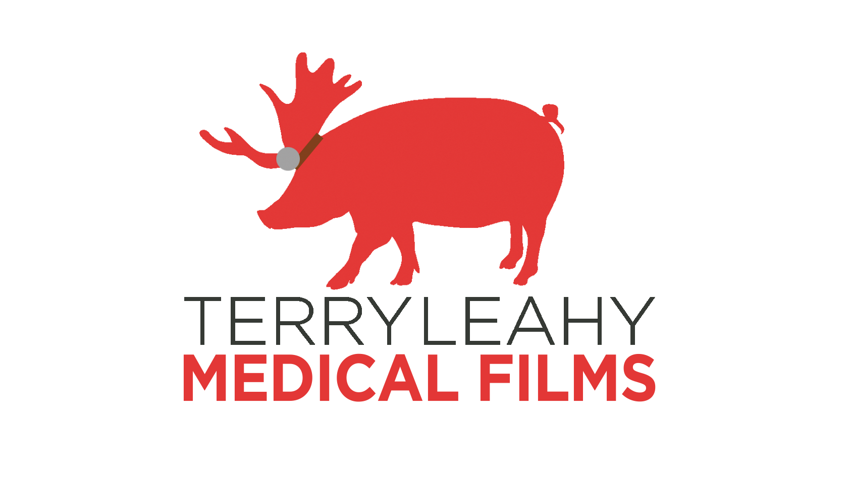TerryLeahy-Medical.png