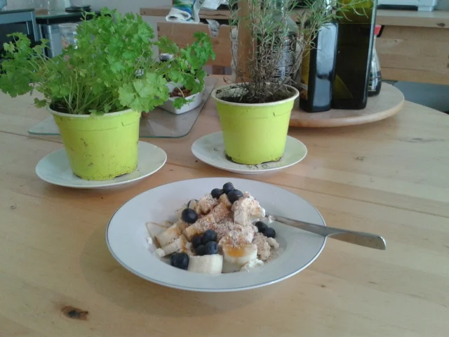 Curd cheese Pre Workout Snack