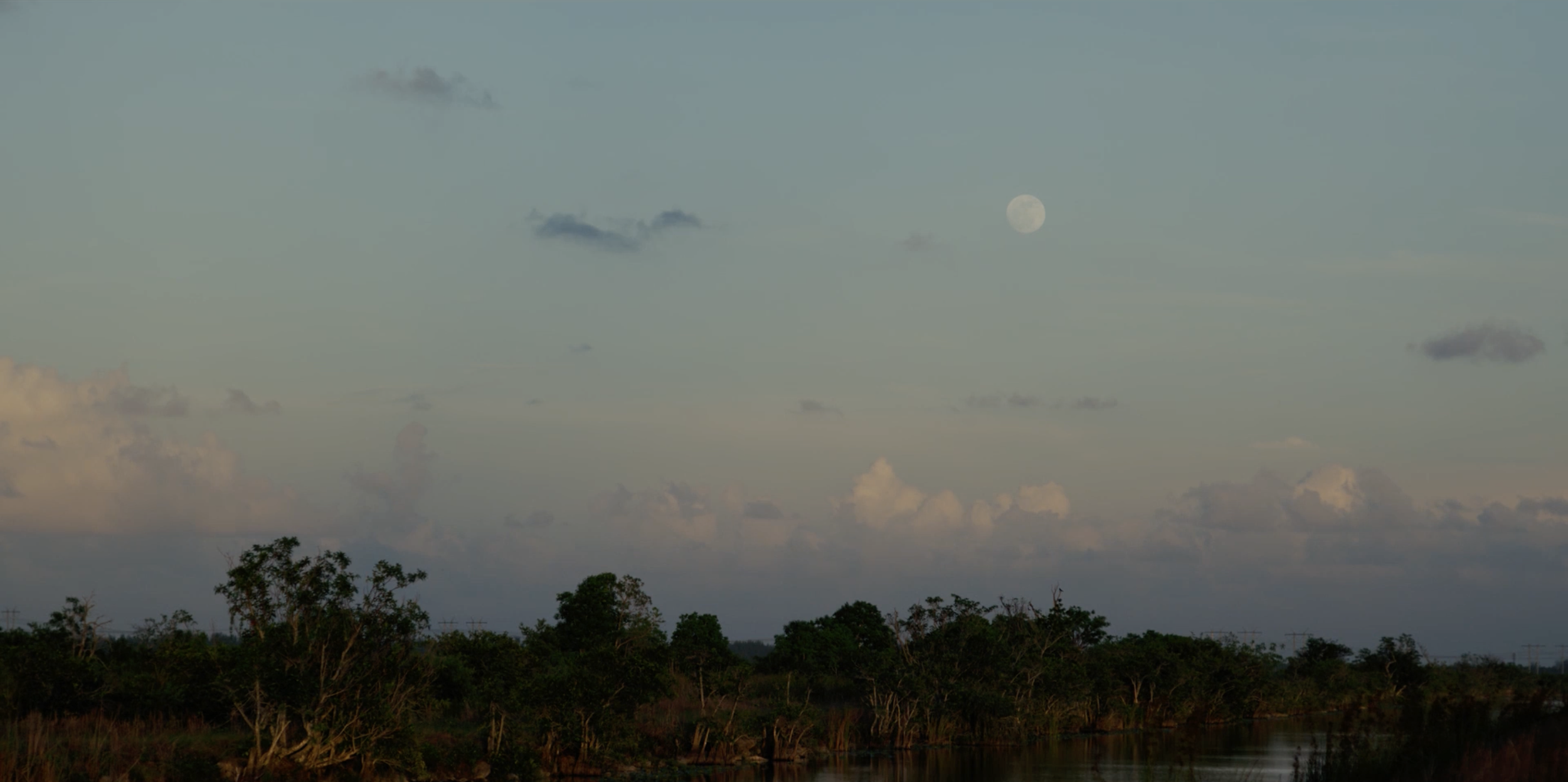 Screenshot 2025-11-26 at 2.08.42 PM.png