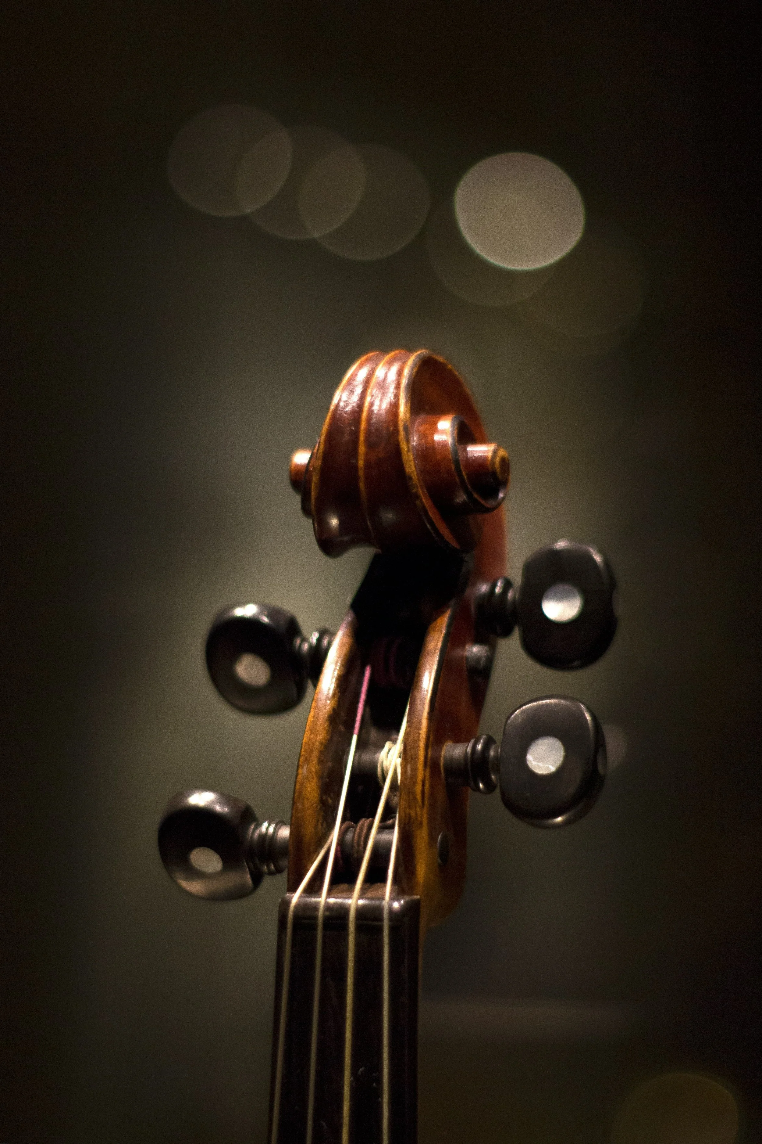 Discover the Benfits of Private Cello Lessons in Seattle