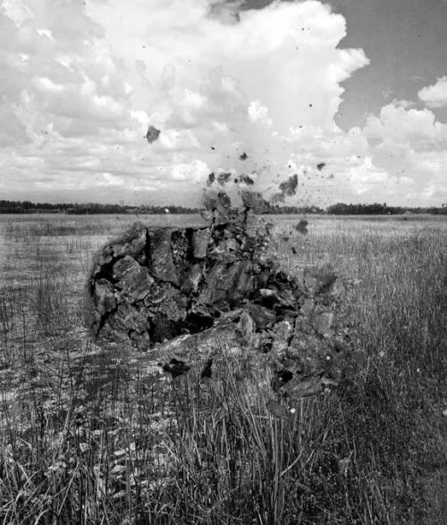 Bessma Khalaf: Meadow, 2014; archival pigment print, 23 in x 20 in.; courtesy of the artist.