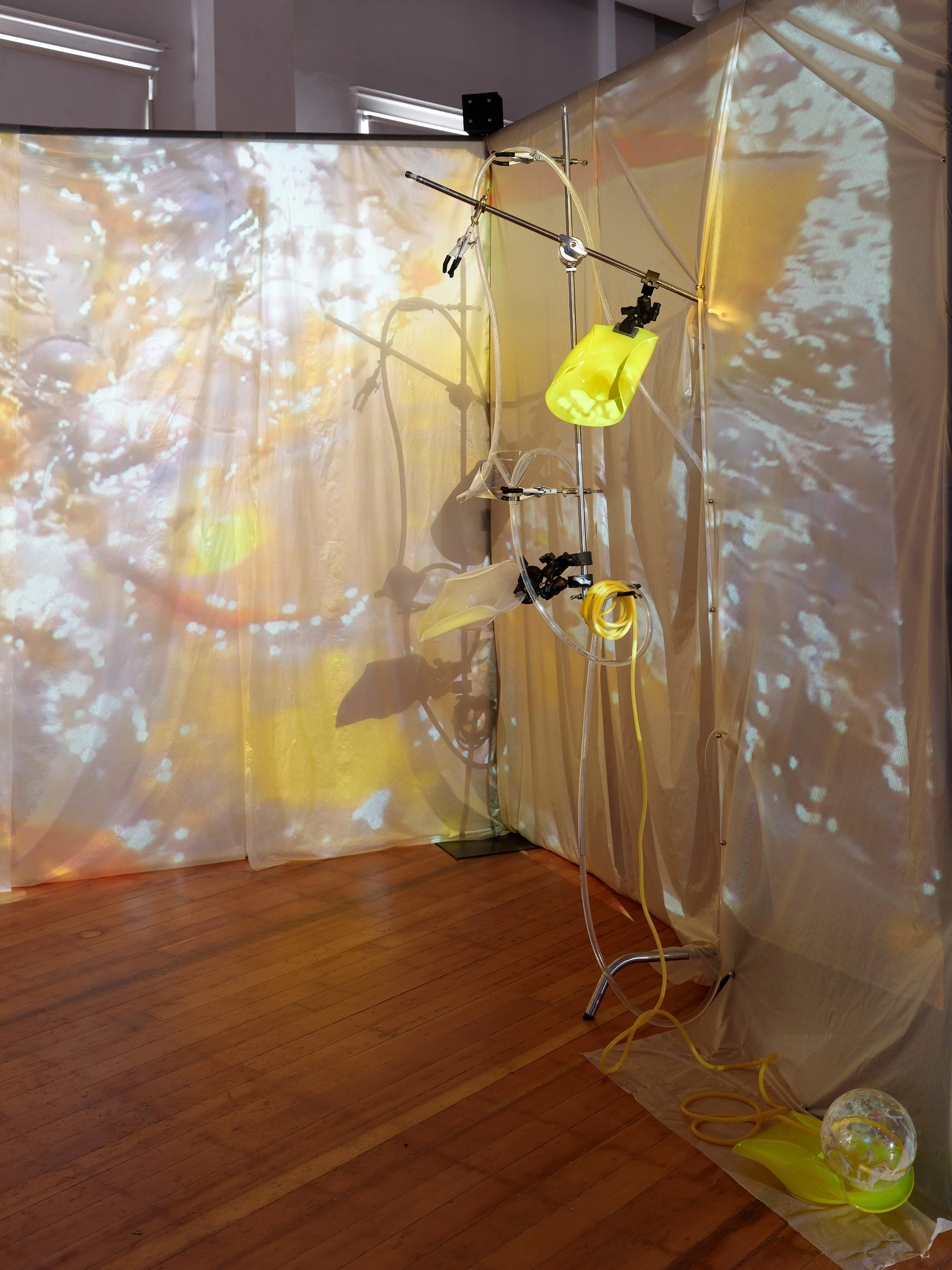 260414_TheLab_TheWetandTheDry_GroupExhibition_RDH_059.jpg