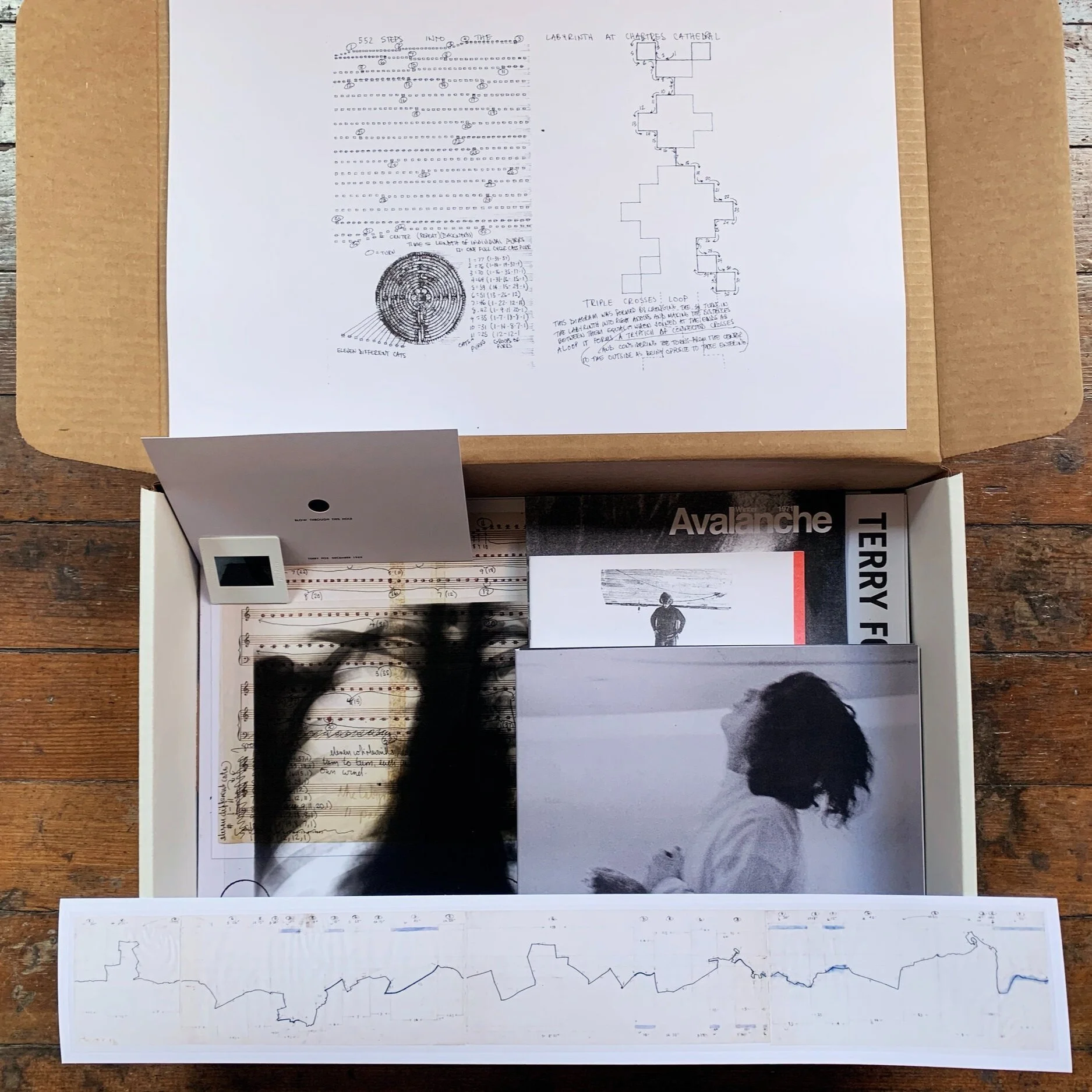 Terry Fox: Resonance // Limited Edition Box