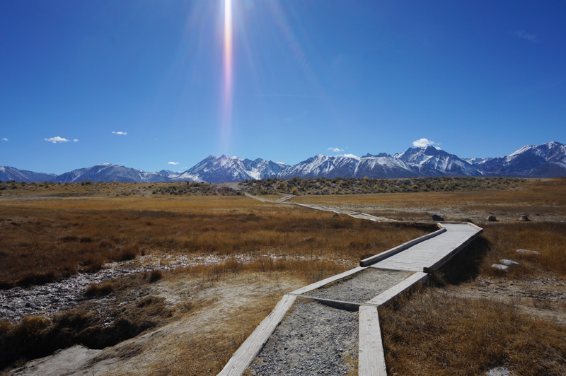 Mammoth_hotsprings_trailback.jpg