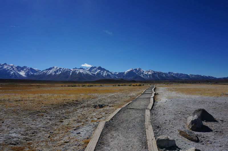 Mammoth_hotsprings_trailback2.jpg