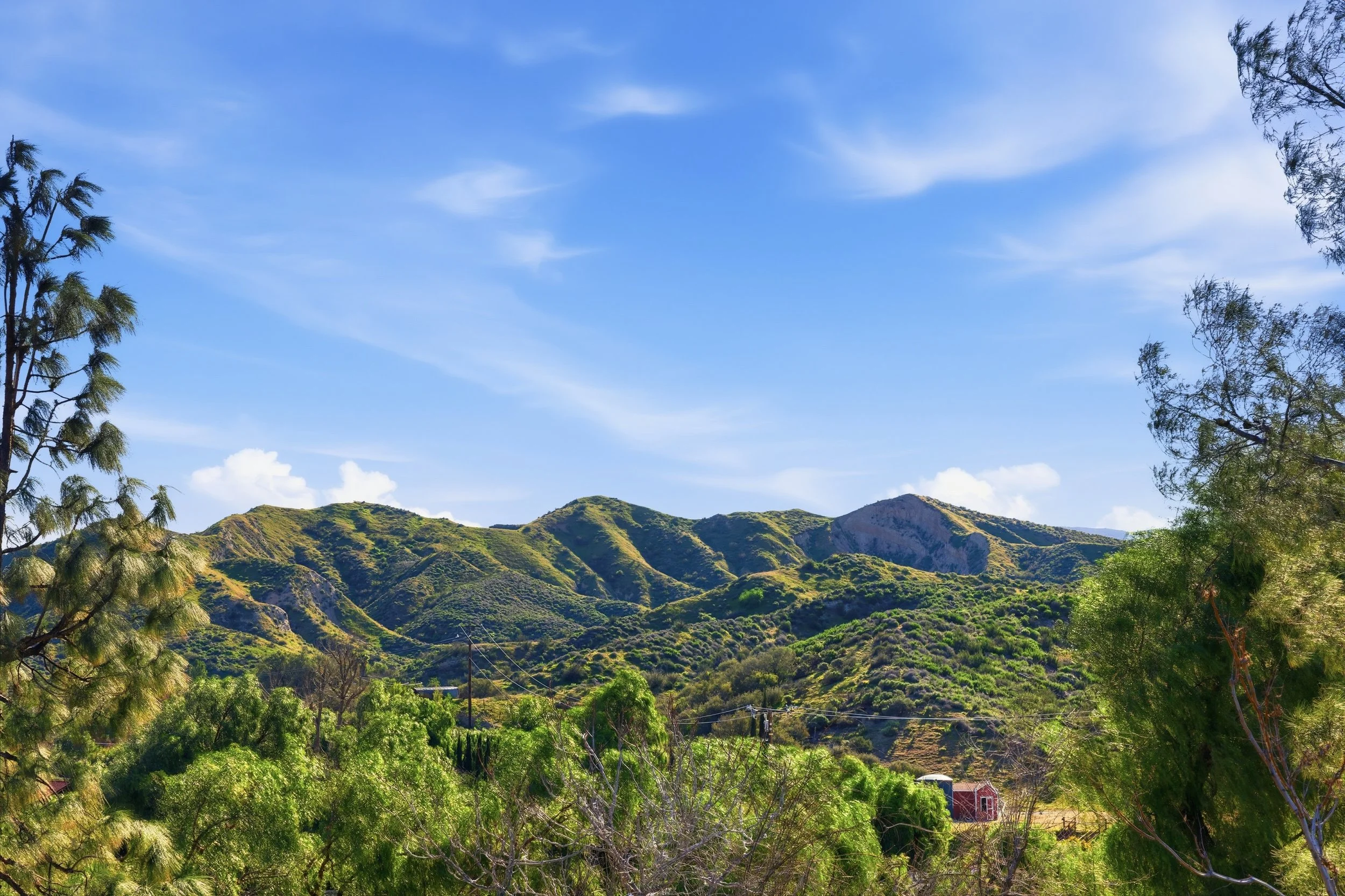 16070 Baker Canyon Rd - TheMatthewSmith-0016-364A0736.jpg