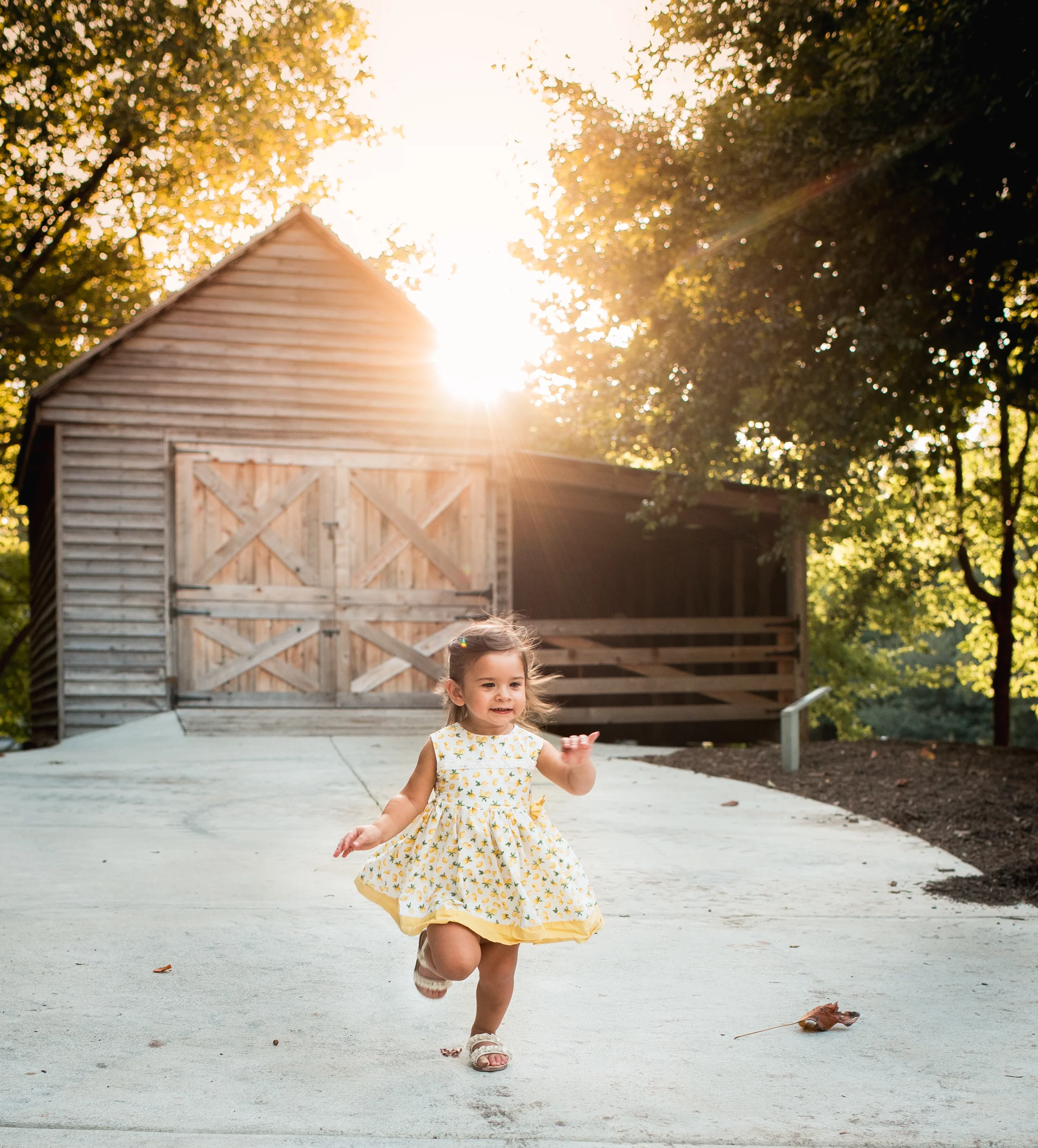 Mcdaniel Farm Sunset Session