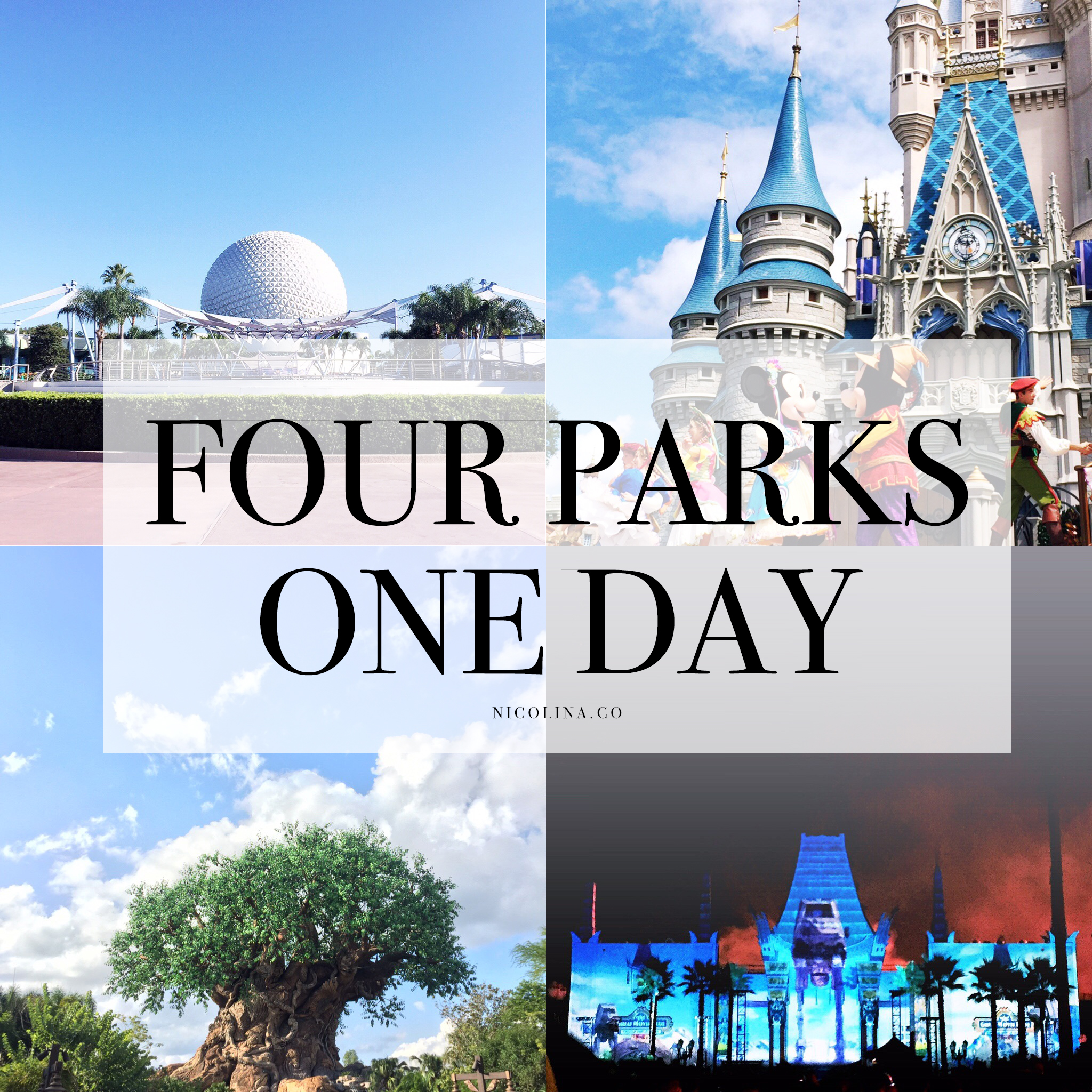 Four Parks One Day