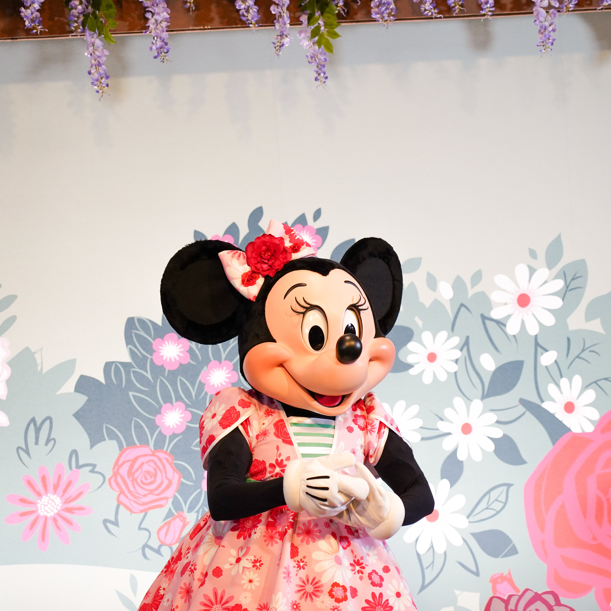 minnie party dress