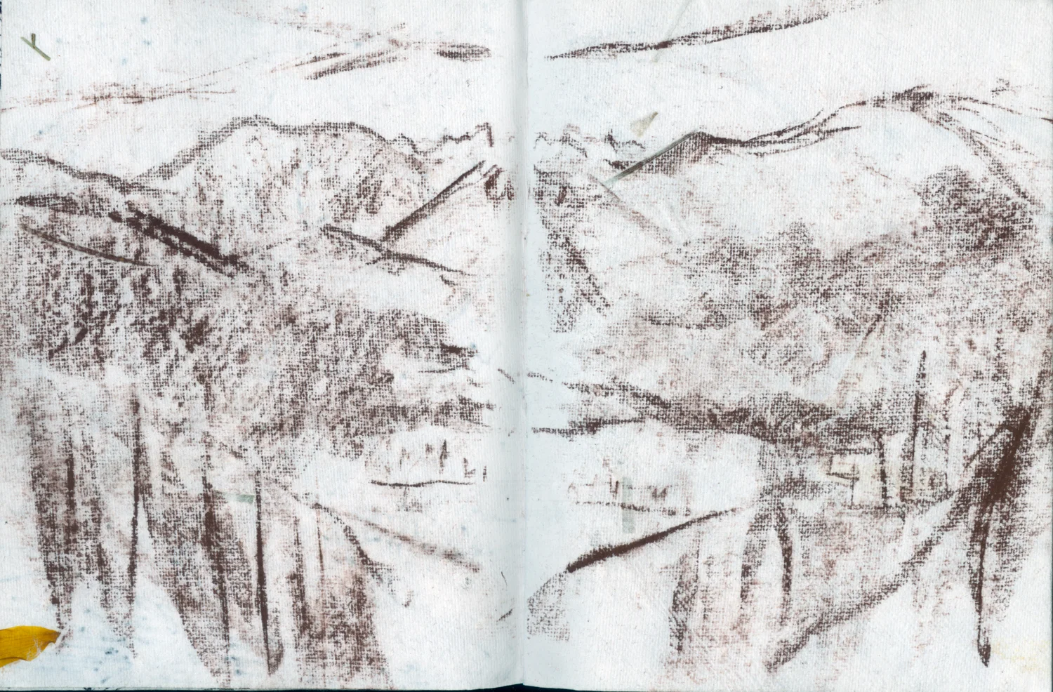 Scan 6.jpg