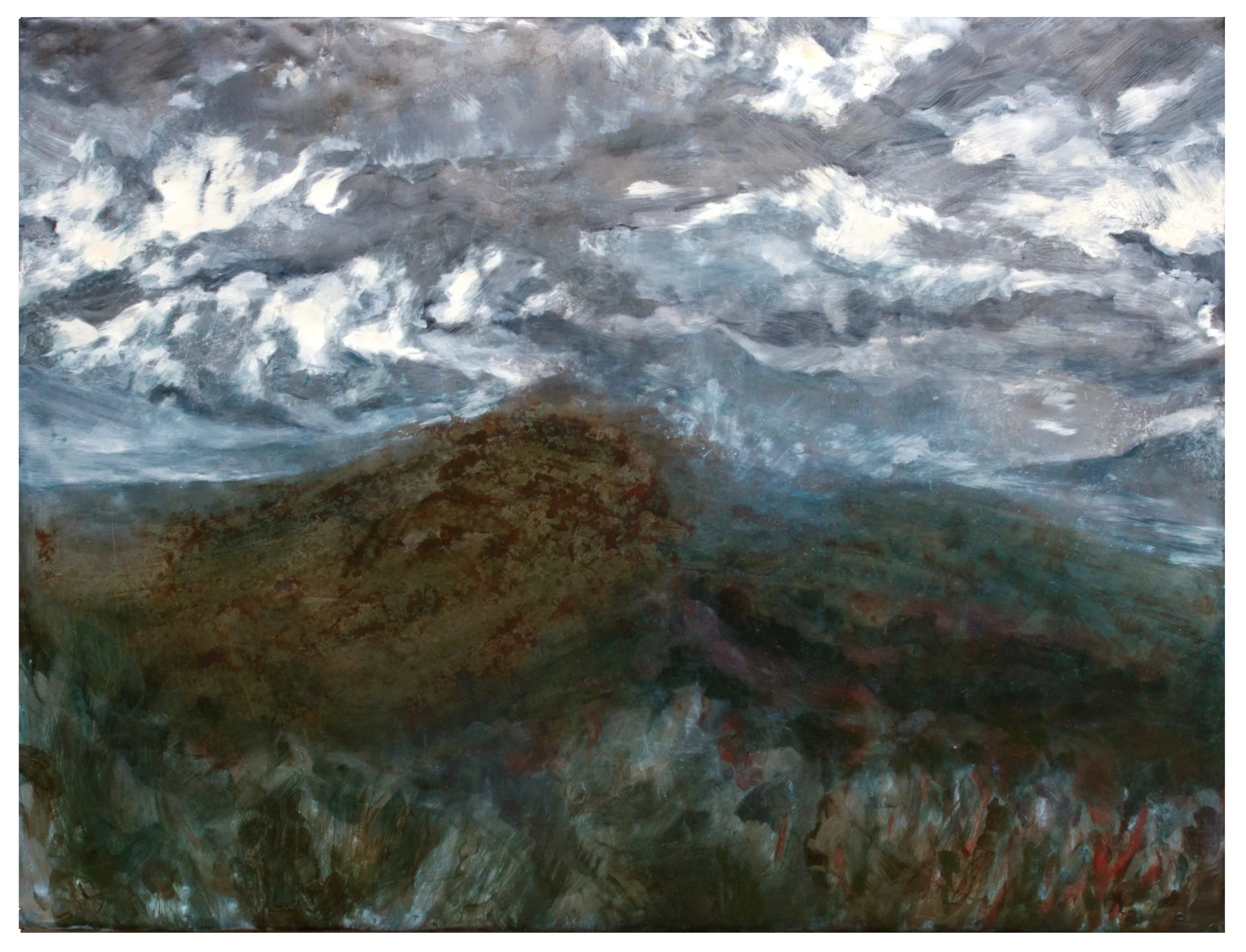 Taiga
