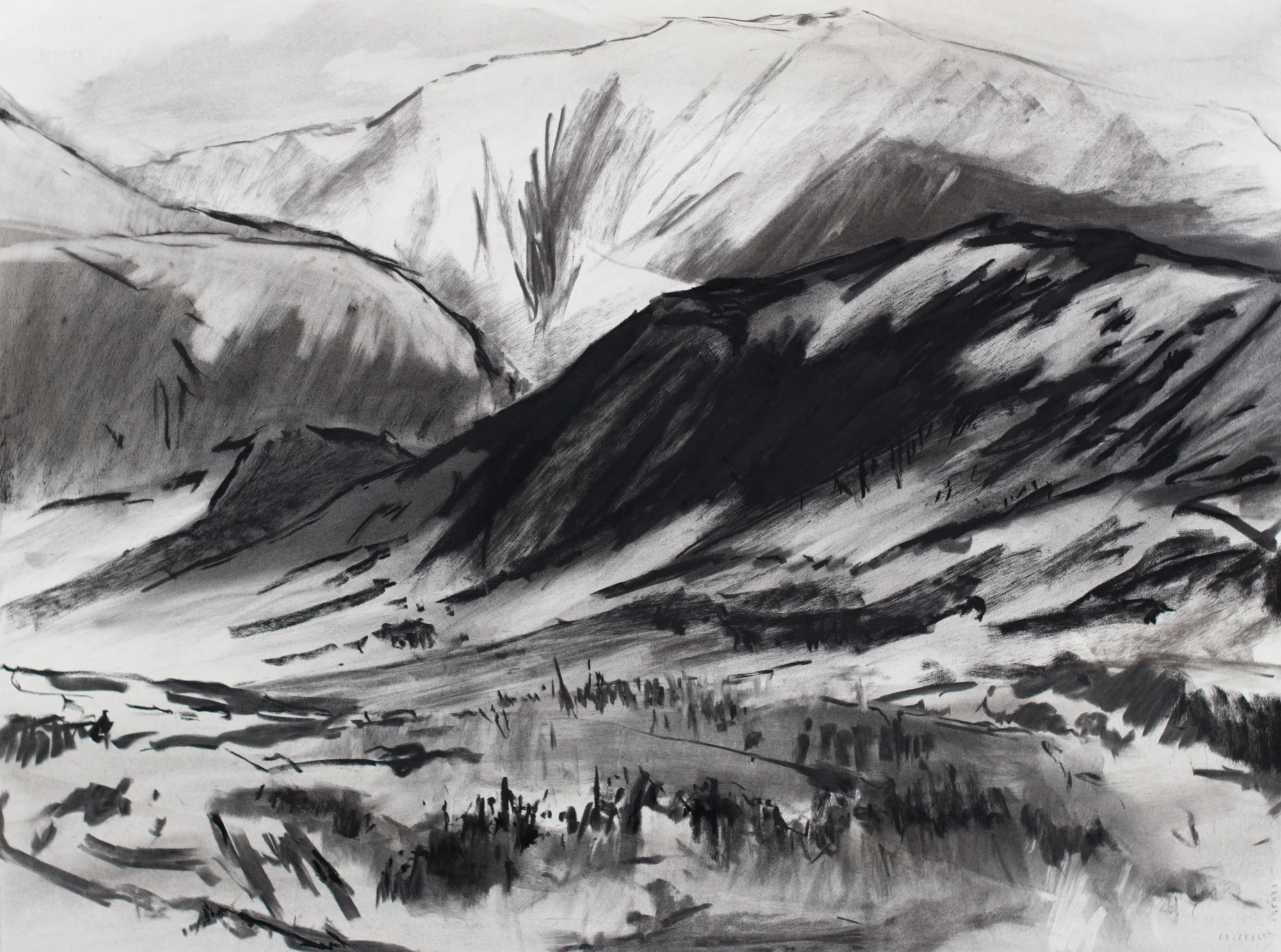 Valles Caldera 1