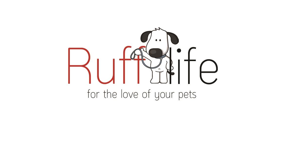 new logo final.jpg
