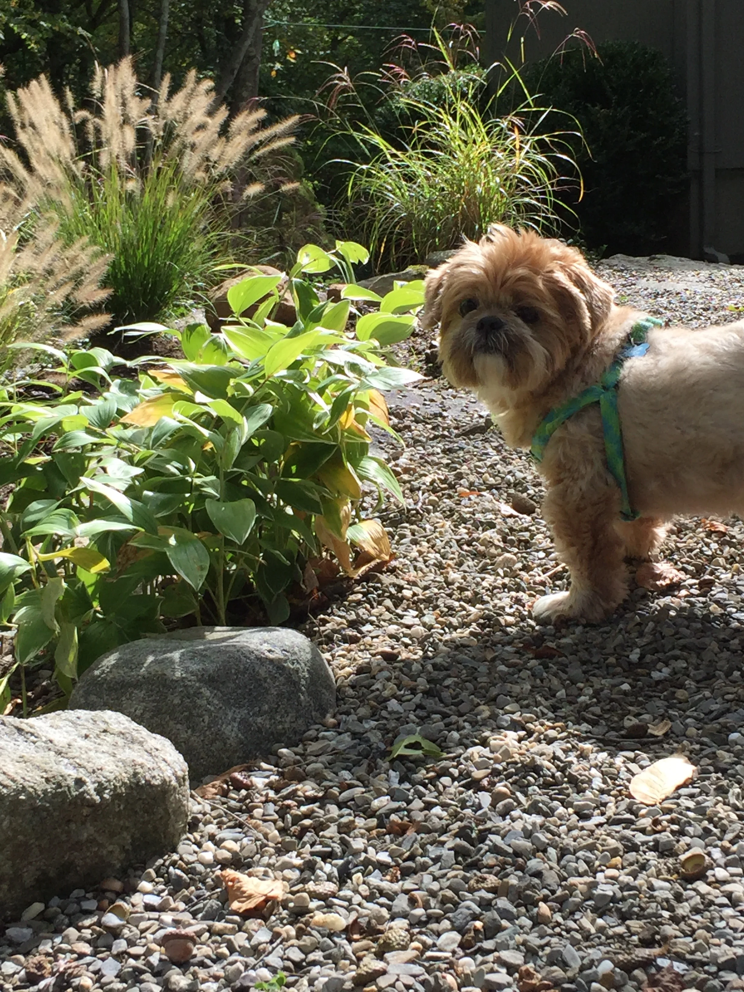 Smelling the flowers.