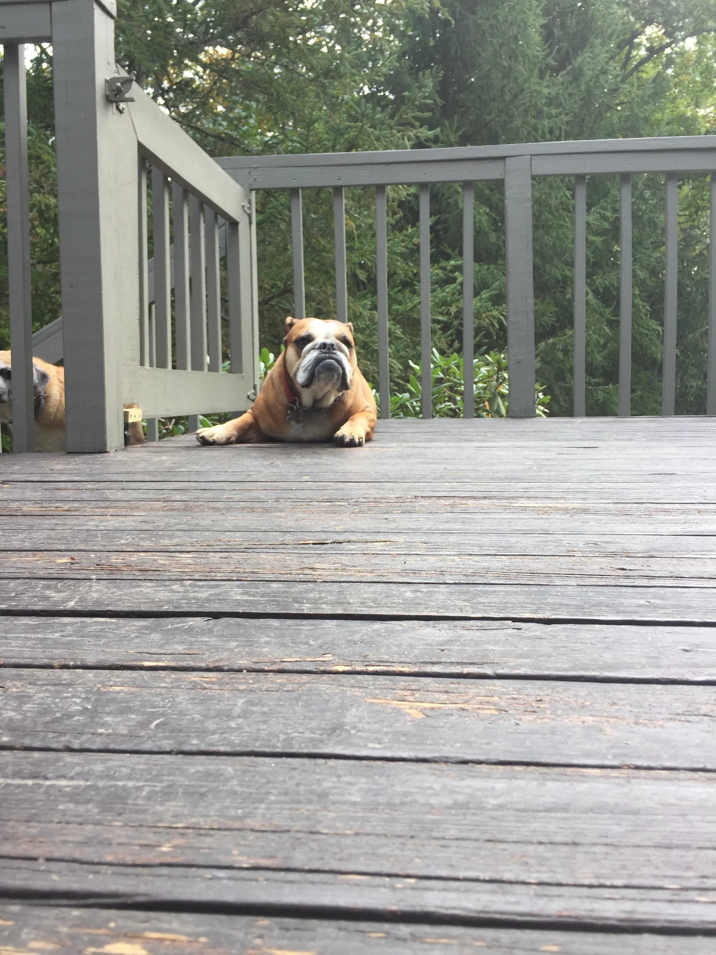 Relaxing on the front porch.