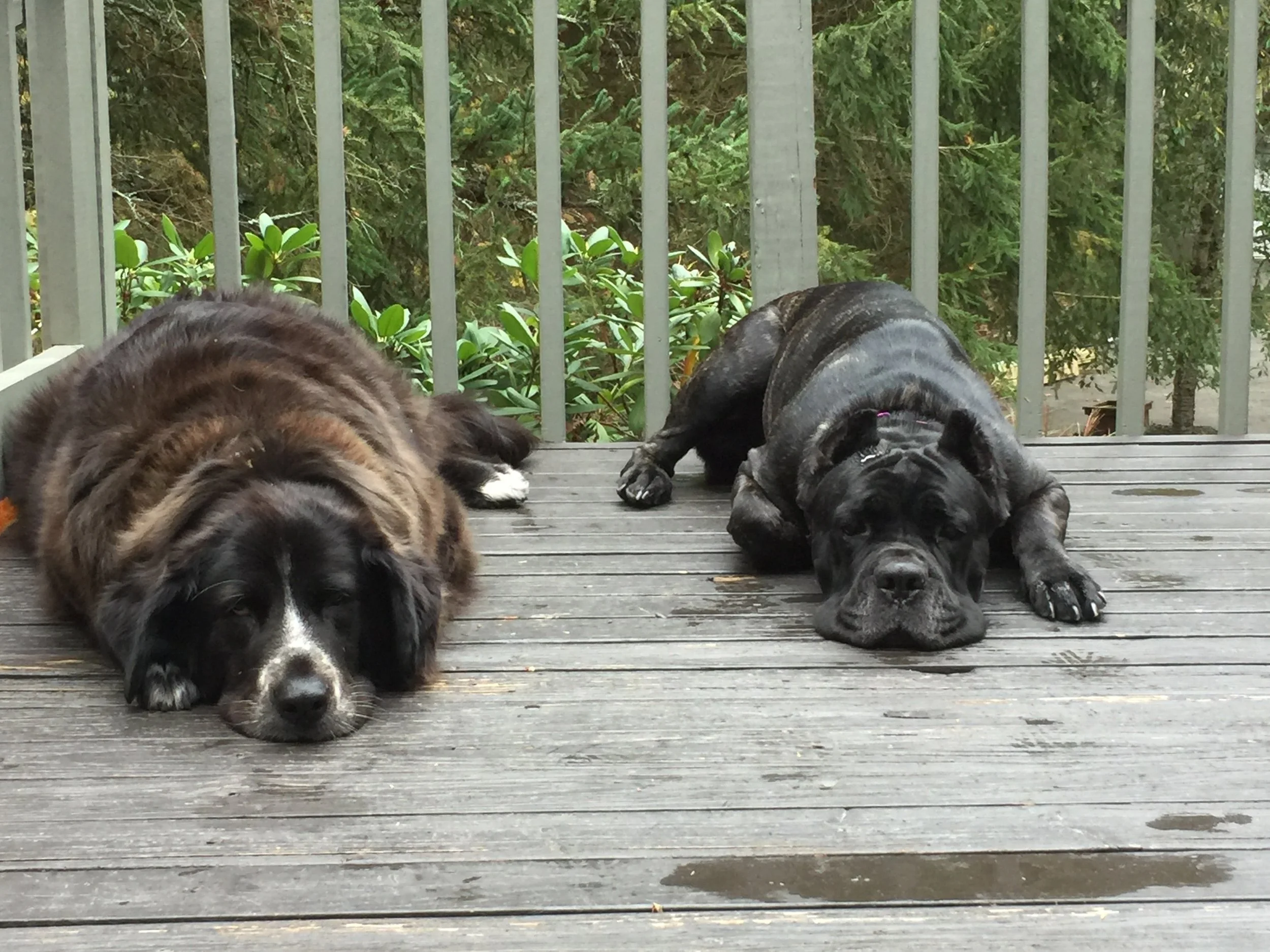Best friends.
