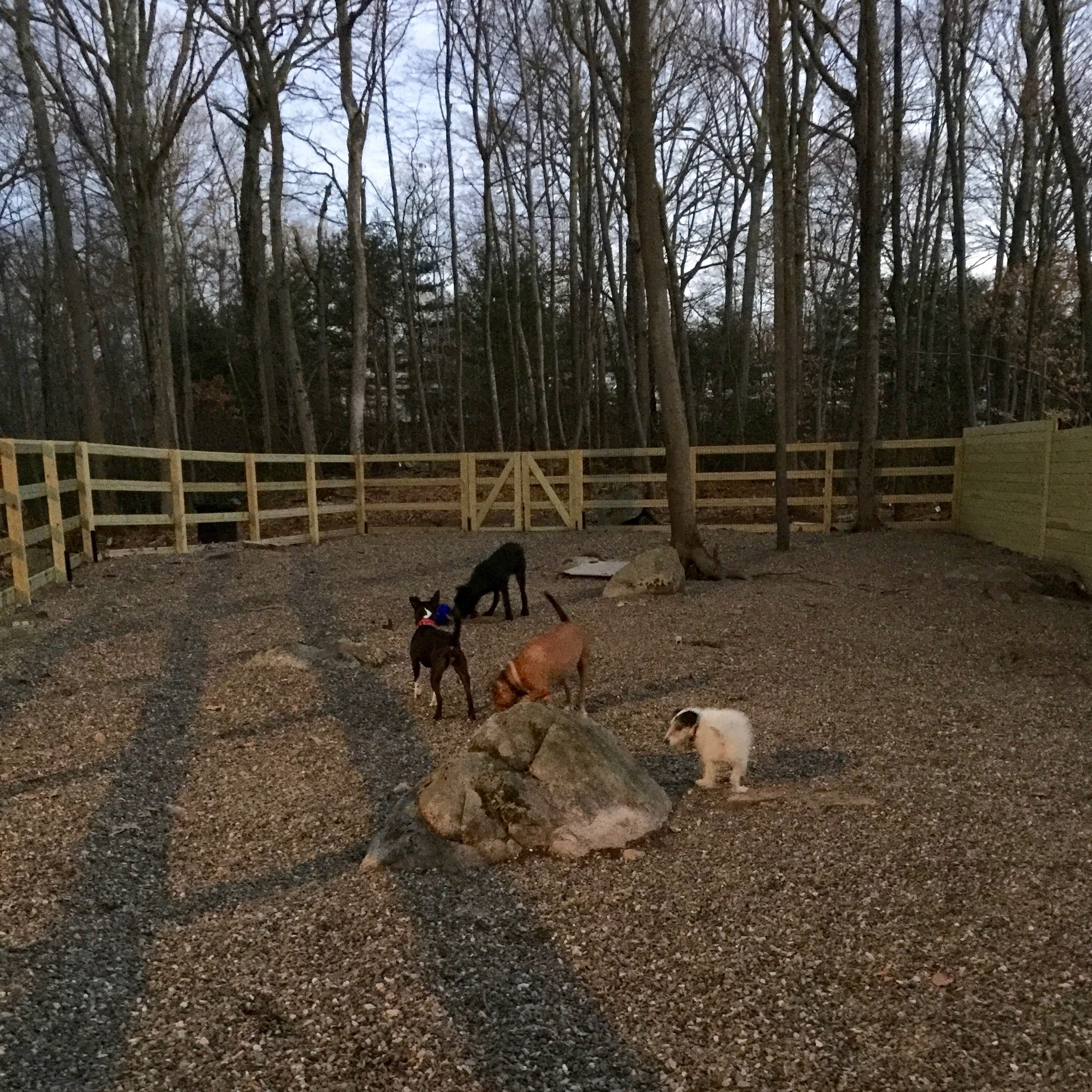 Dog run at sunset.