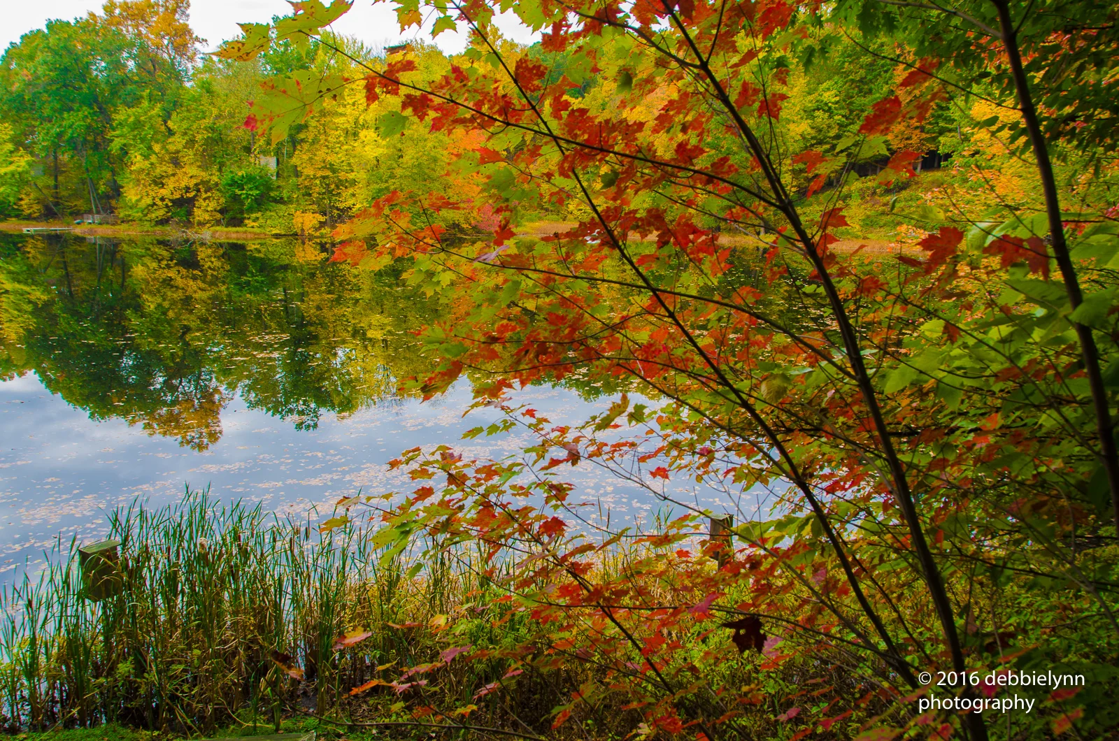 In The Midst of Autumn