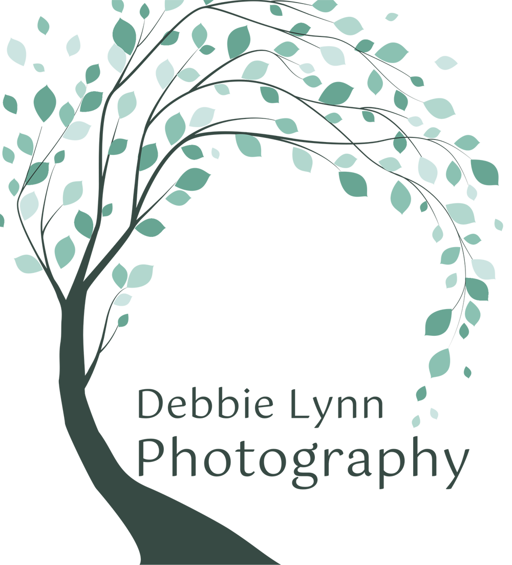 debbie lynn photography