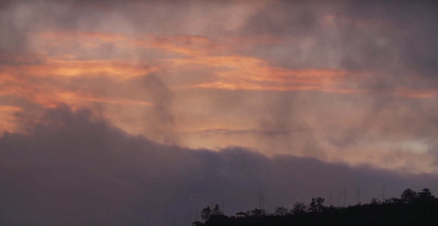 WATER IN THE CLOUD FOREST This film demonstrates how Ecuador's cloud forest's entire ecosystem depends on clean water for survival and would suffer significant damage should this unique watershed be subject to mining, pesticides and deforestation. Directed by Jackson J. Eagan