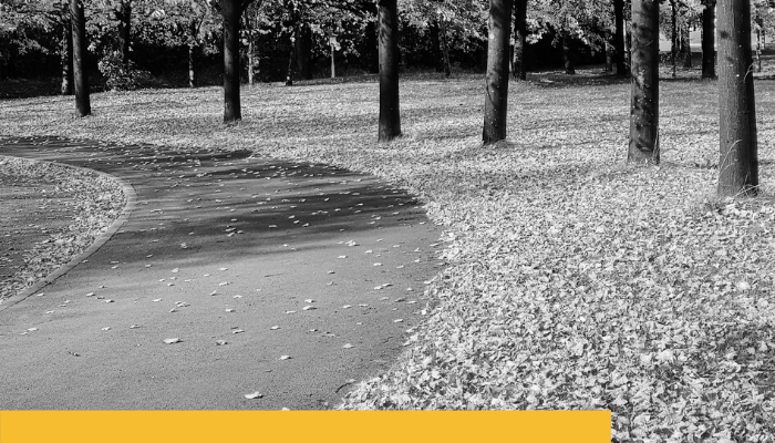 Fall CS Foundations Series Registration Now Open!