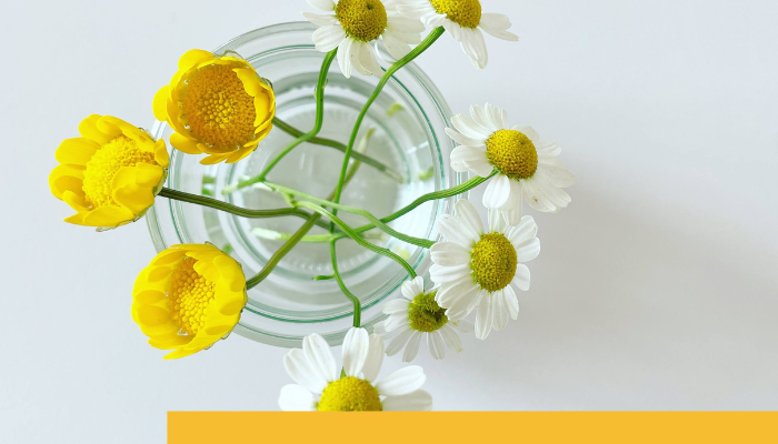 Create Segmentation with the Help of our Consulting Team