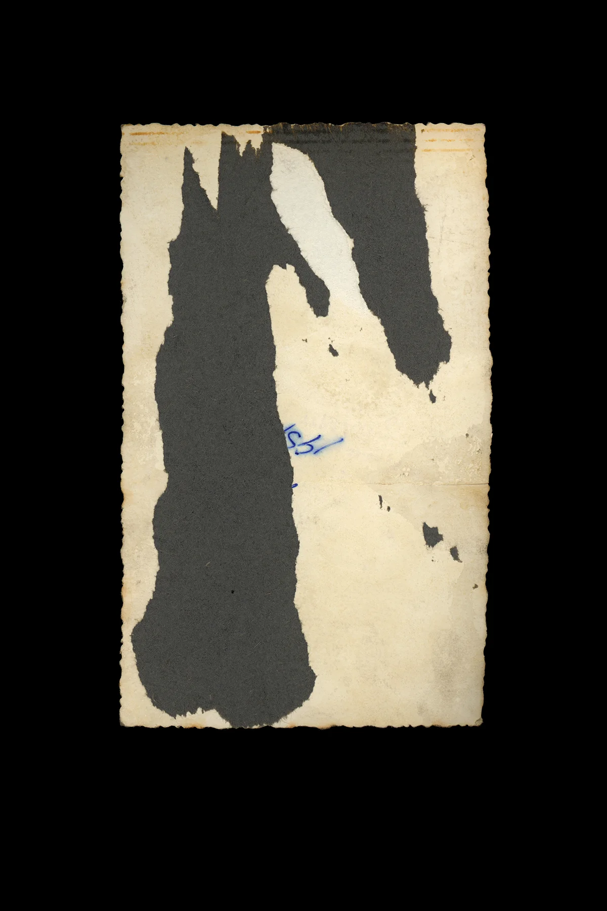  back no. five  24" x 36"  archival inkjet print 