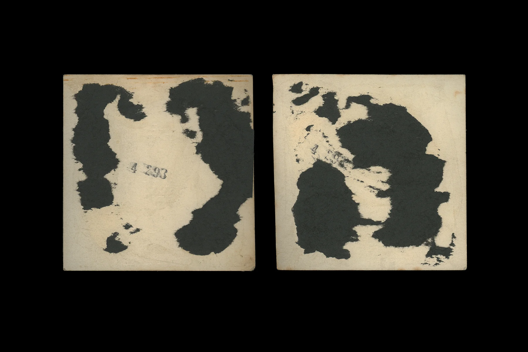  back no. three &amp; back no. four  36" x 24"  archival inkjet print    