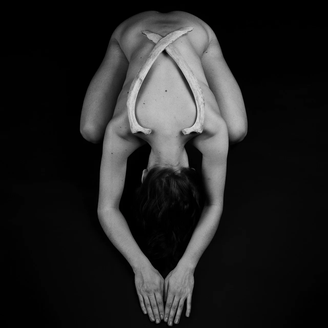 asana4.jpg