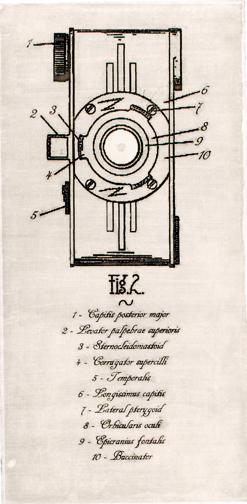   patent   chine-colle intaglio on rag paper  edition of 7  2011 