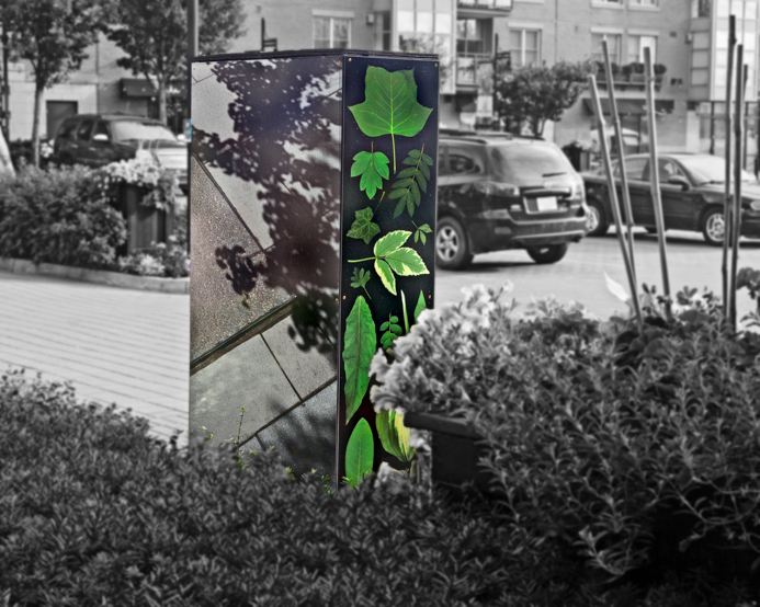 ConcreteJungle2.jpg