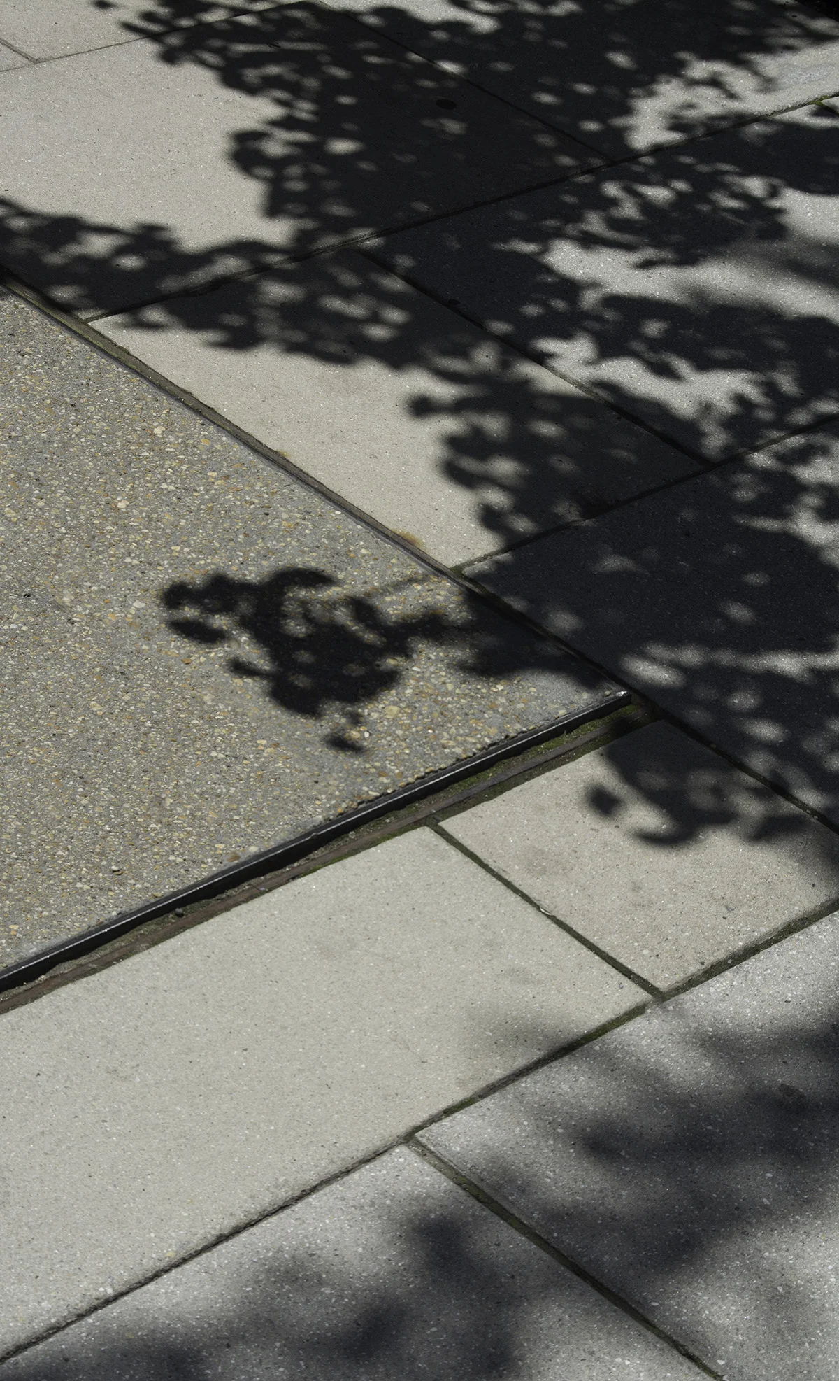 concrete1.jpg