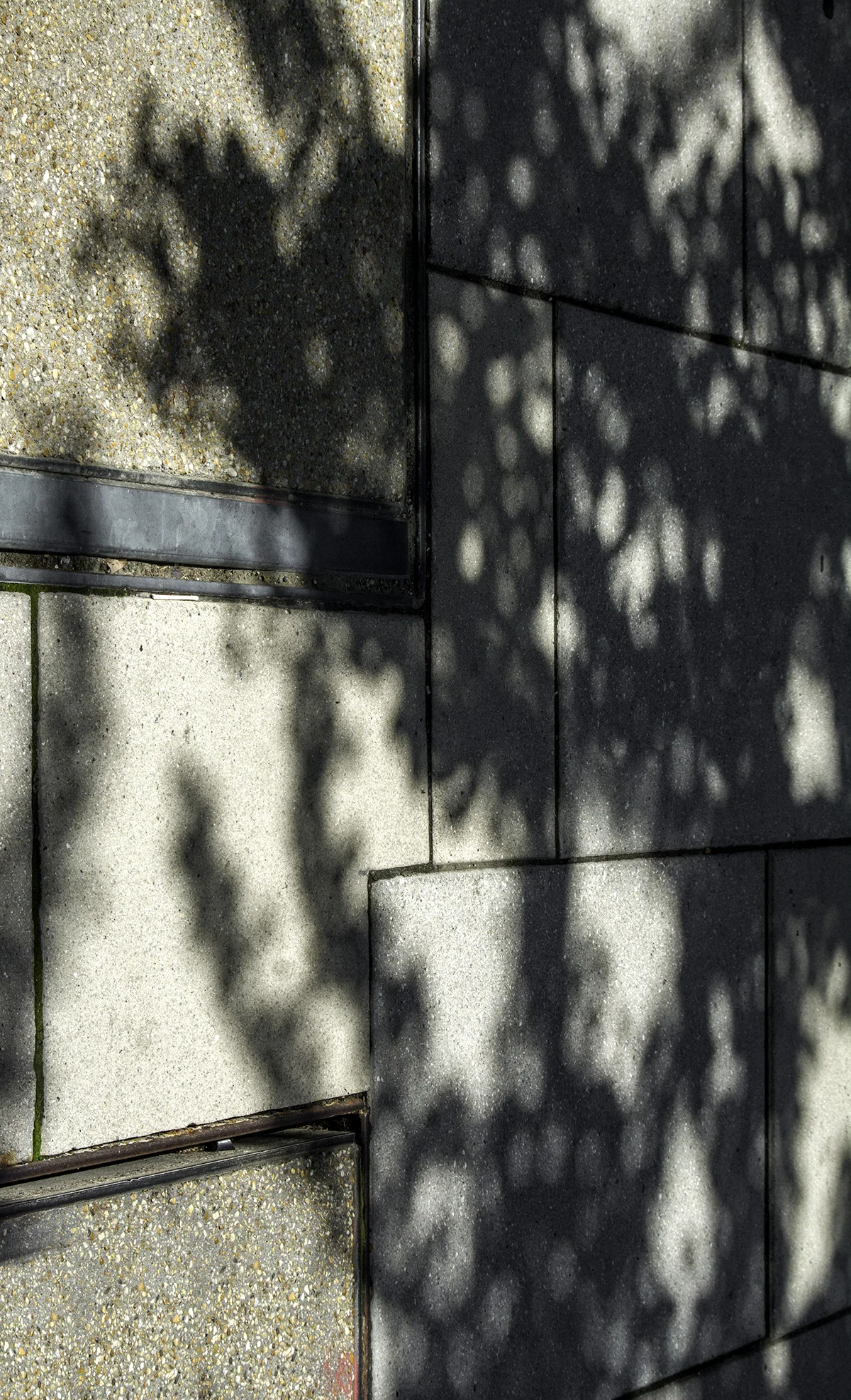 concrete2.jpg