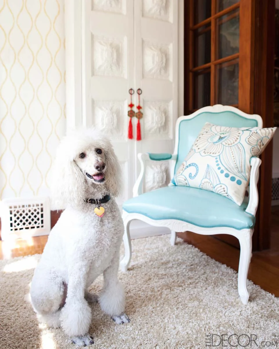 Janie Bryant's LA Home, Elle Decor