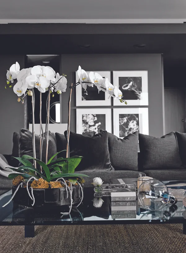 Apartment by Cathy Echols