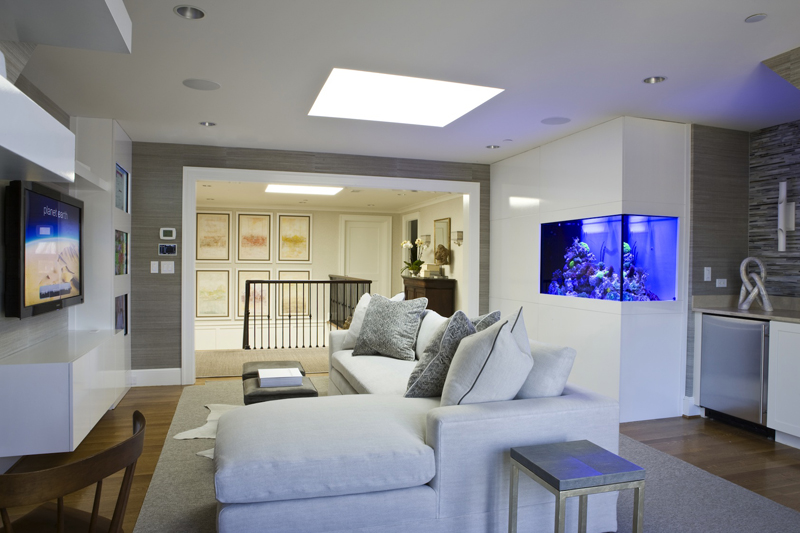 Media Room by Akseizer Design Group, DC Design House