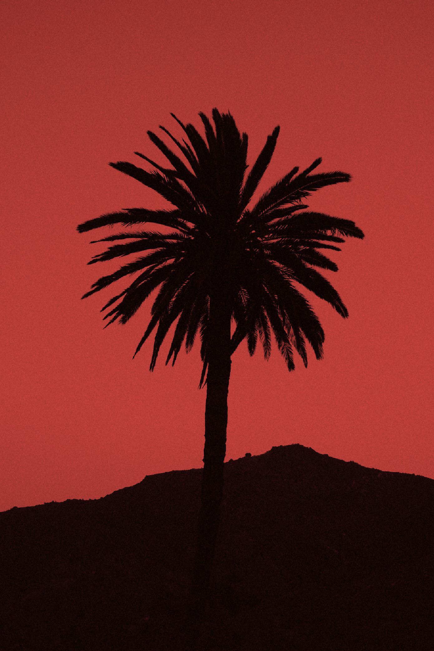 In Conversation With Photo Editor &amp; Photographer Jessica Polar