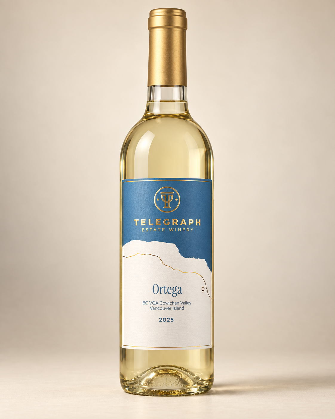 Telegraph_Estate_2025_Ortega.png