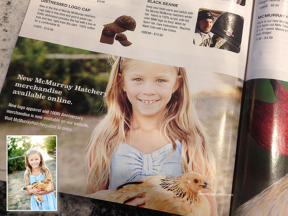 Murray McMurray Hatchery 100th Year Catalog