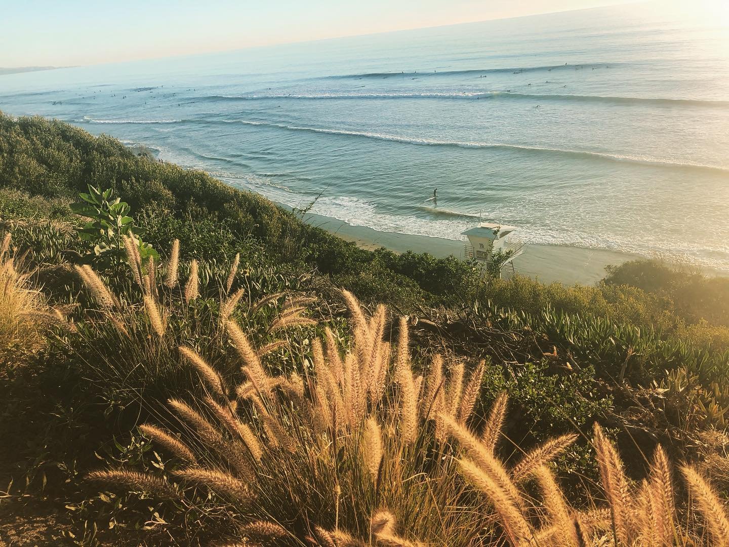 Summer in Encinitas!! Wow!
