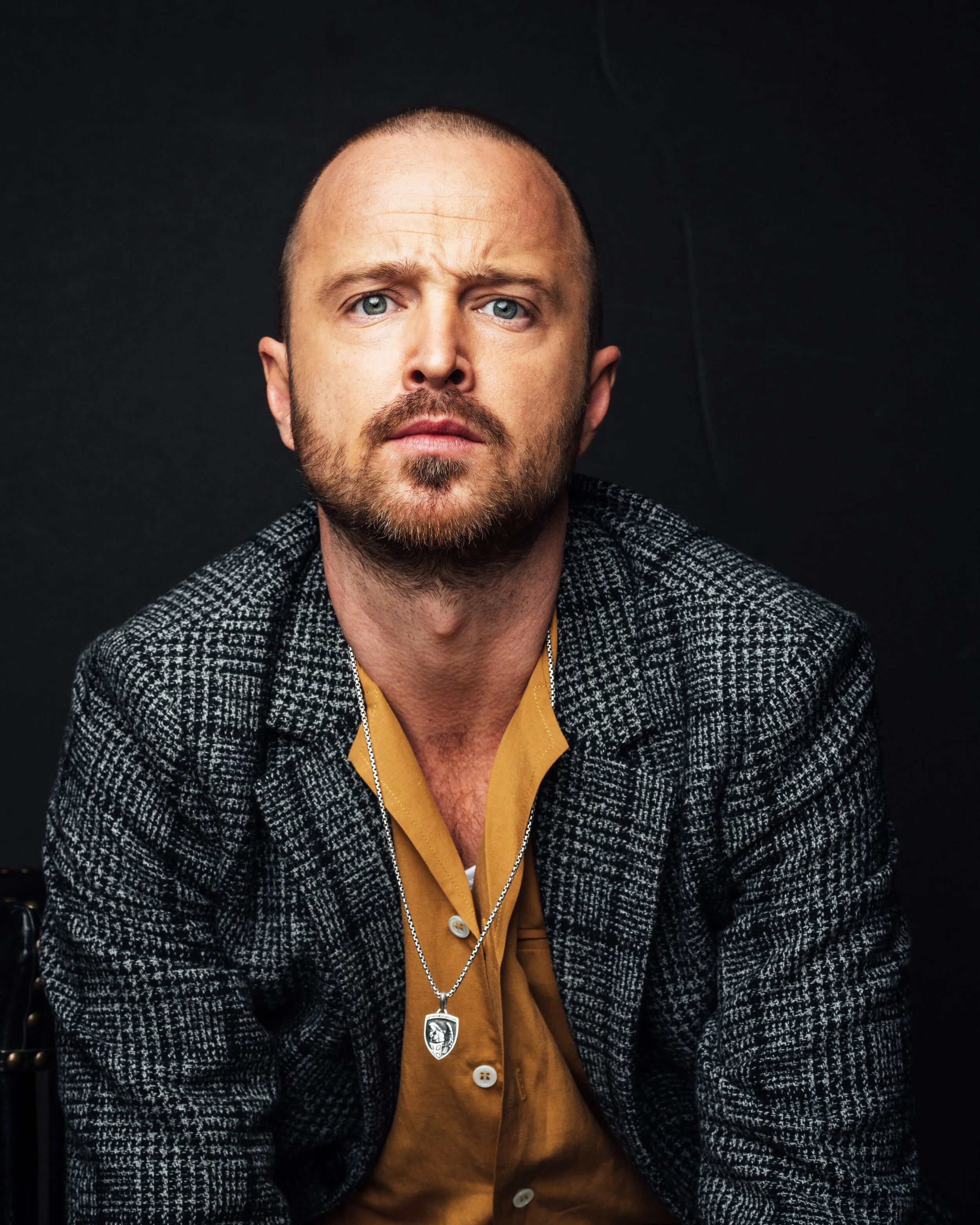 AARON PAUL