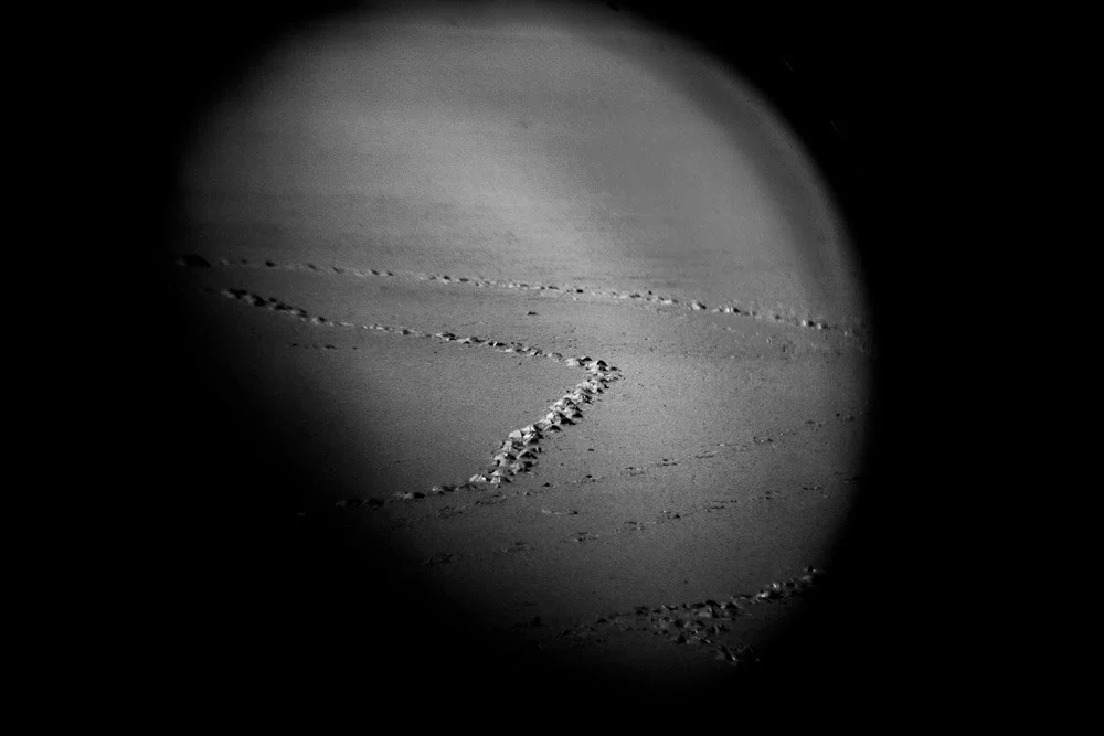 Gabriela Bulisova, from the Monocular Series , Summer Lake, Oregon, May 2016