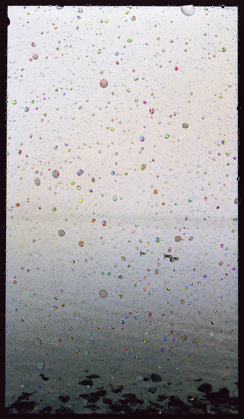 Early Morning with Fog Droplets Condensing on my iPhone , lightbox, 2014