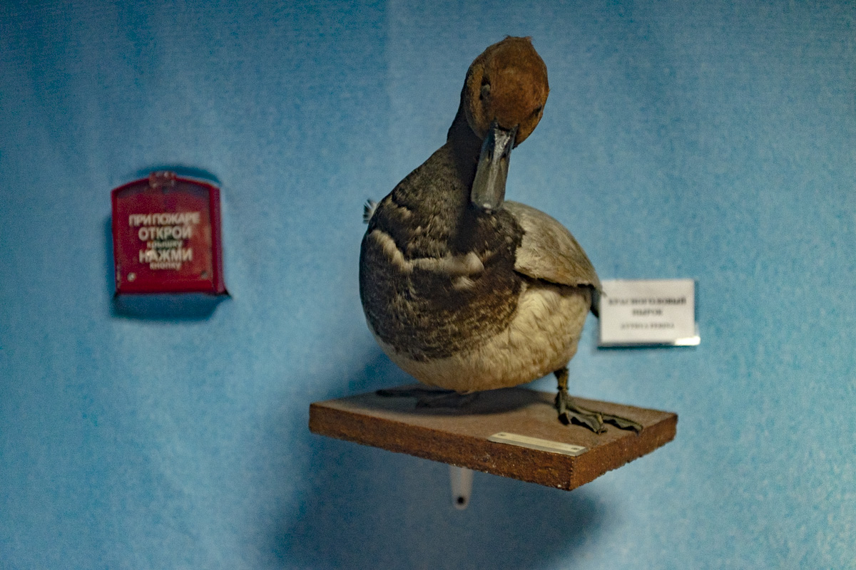 Blog_Baikalsk_08.jpg