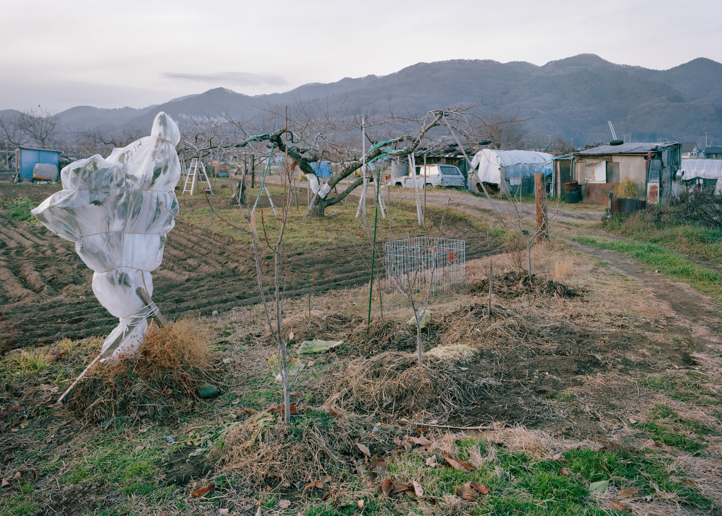 Nagano2018.004.jpg